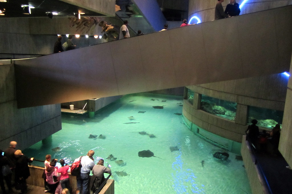 National Aquarium